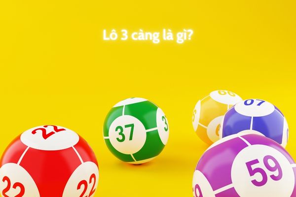 Đặc điểm của lô 3 càng là gì?